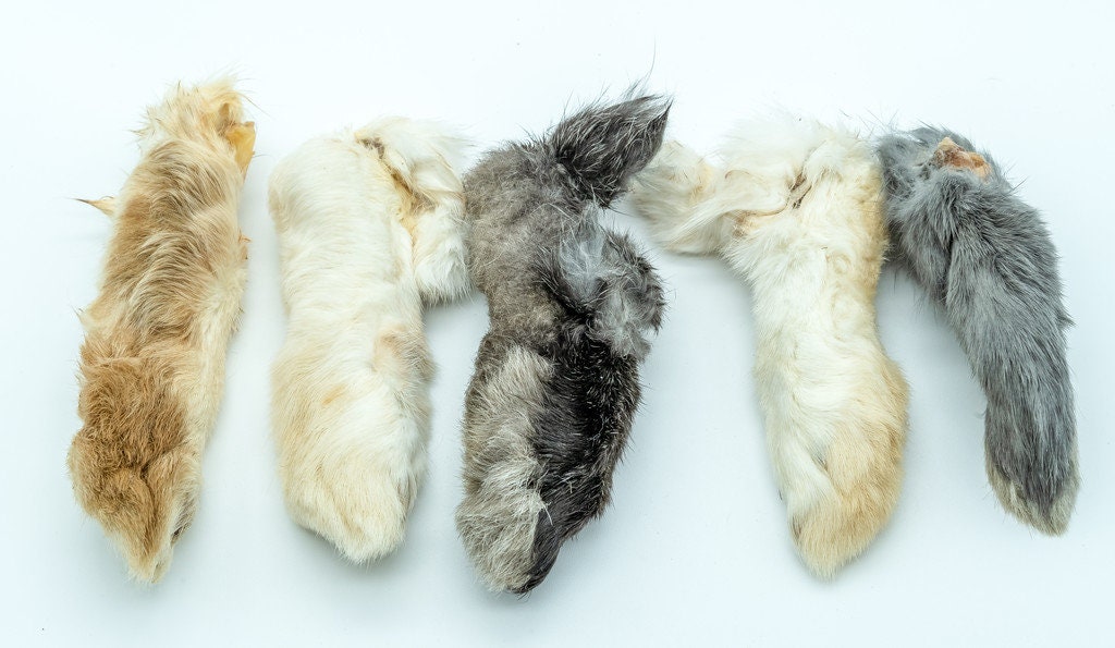 Raw Dehydrated Rabbit feet