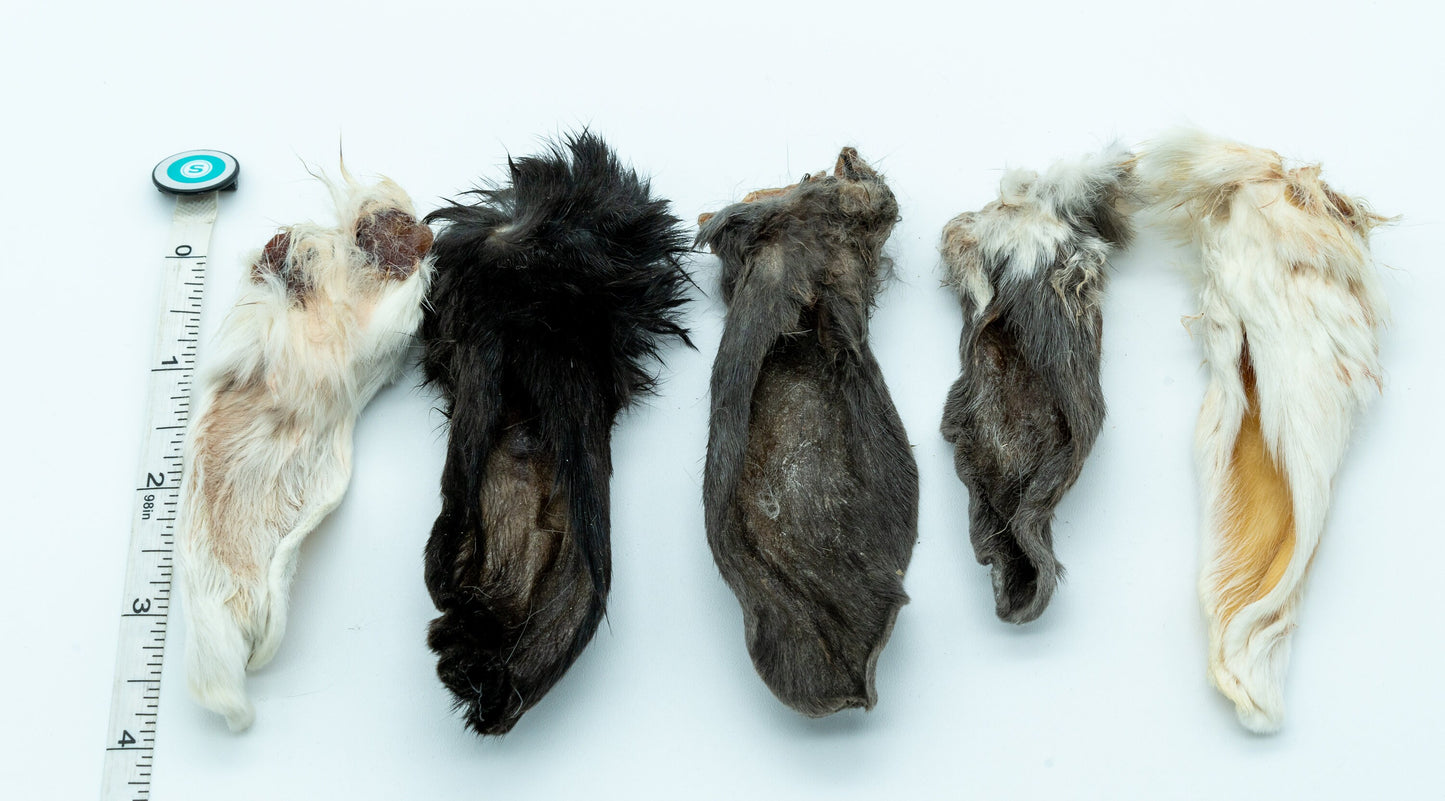 Rabbit Ears, dehydrated 5 pack, whole, hair on, 100% Natural